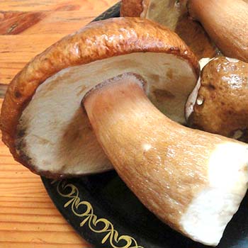 Sådan tilberedes syltede porcini-svampe