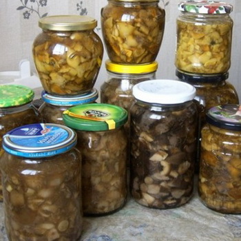 Mga adobo na mushroom para sa taglamig: mga recipe ng lutong bahay