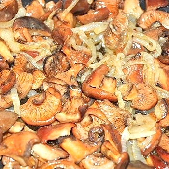 如何炒蘑菇：美味菜肴的食谱