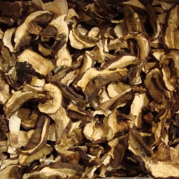 Dry milk mushroom: mga recipe para sa paghahanda ng mushroom para sa taglamig