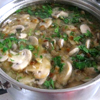 用慢炖锅烹制的蘑菇菜肴