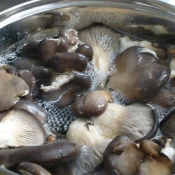 Cara memasak jamur tiram dan apa yang harus dimasak darinya