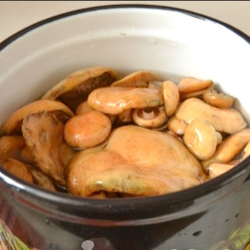 Resep jamur diasinkan yang dimasak tanpa sterilisasi