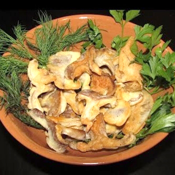 Cara memasak volushki: resep masakan jamur