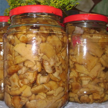 Chanterelles kalengan: persiapan jamur untuk musim dingin