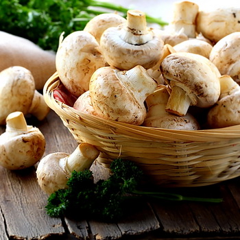 Manfaat dan kemudaratan champignons untuk tubuh manusia