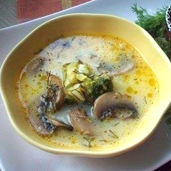 Sup keju dengan champignon: resep untuk kursus pertama