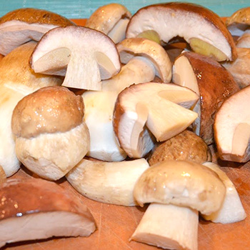 Cara memasak jamur porcini segar