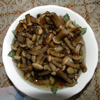 Cara mengasinkan jamur renyah untuk musim dingin