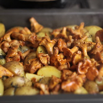 Cara memasak chanterelles dalam oven: resep sederhana