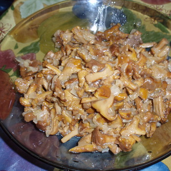 Chanterelles dengan daging: resep untuk hidangan jamur yang lezat