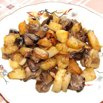 Hřibová jídla s bramborami